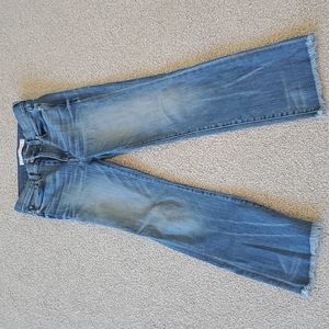 Ayr The Pop Ankle Jeans 27